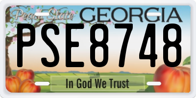 GA license plate PSE8748