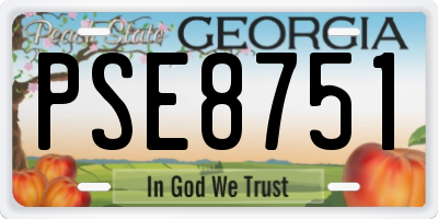 GA license plate PSE8751