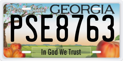 GA license plate PSE8763