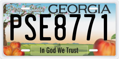 GA license plate PSE8771
