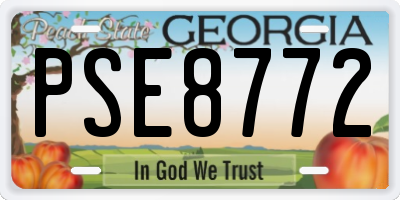GA license plate PSE8772