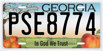 GA license plate PSE8774