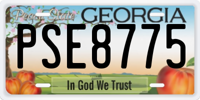 GA license plate PSE8775