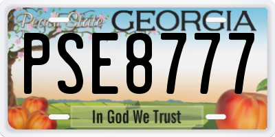 GA license plate PSE8777