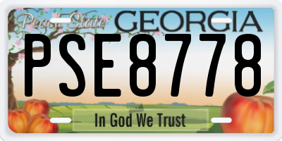 GA license plate PSE8778