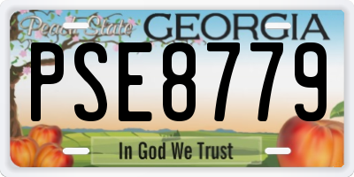 GA license plate PSE8779