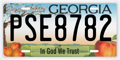 GA license plate PSE8782