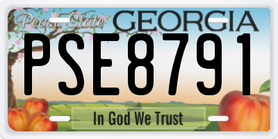 GA license plate PSE8791