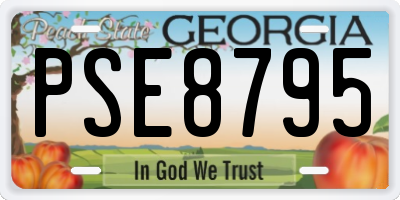GA license plate PSE8795