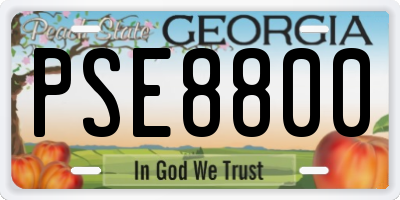 GA license plate PSE8800