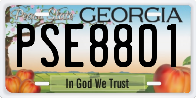 GA license plate PSE8801