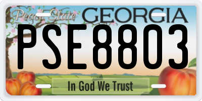 GA license plate PSE8803