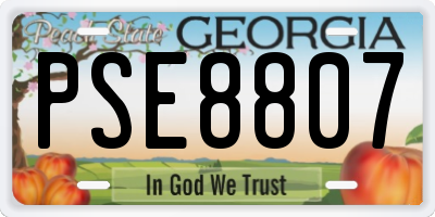 GA license plate PSE8807