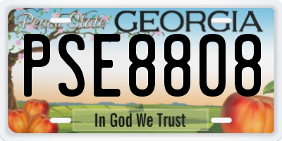 GA license plate PSE8808