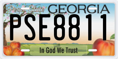 GA license plate PSE8811