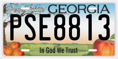 GA license plate PSE8813