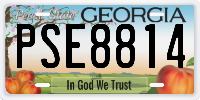 GA license plate PSE8814