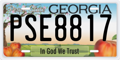 GA license plate PSE8817