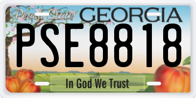 GA license plate PSE8818