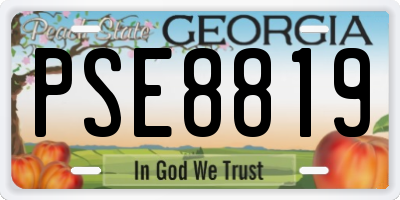 GA license plate PSE8819