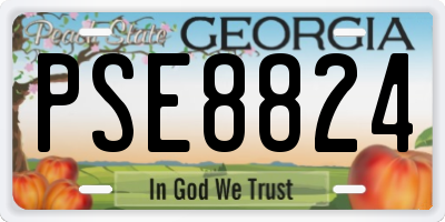 GA license plate PSE8824