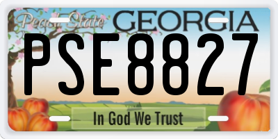 GA license plate PSE8827