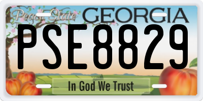GA license plate PSE8829