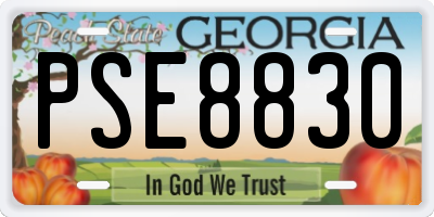 GA license plate PSE8830