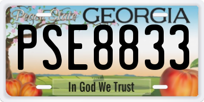 GA license plate PSE8833