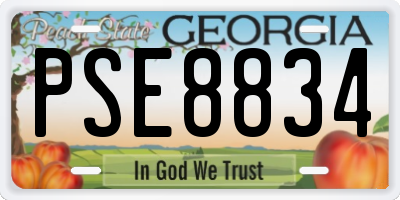 GA license plate PSE8834