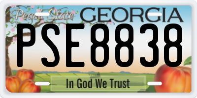 GA license plate PSE8838