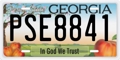 GA license plate PSE8841
