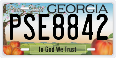 GA license plate PSE8842