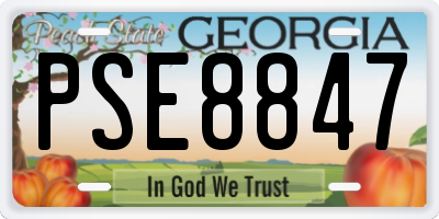 GA license plate PSE8847