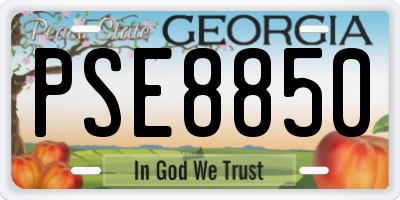 GA license plate PSE8850