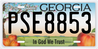 GA license plate PSE8853