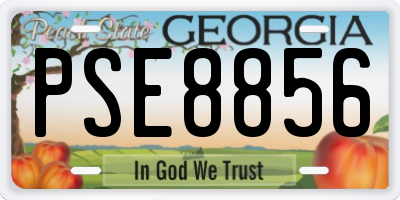 GA license plate PSE8856