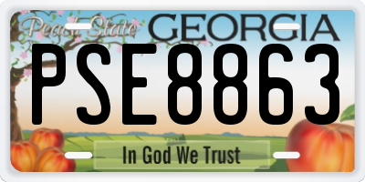 GA license plate PSE8863