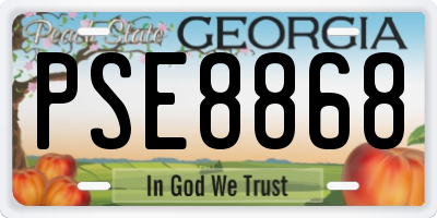 GA license plate PSE8868