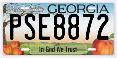 GA license plate PSE8872