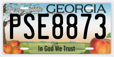GA license plate PSE8873