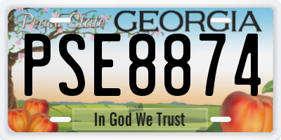 GA license plate PSE8874