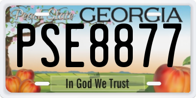 GA license plate PSE8877