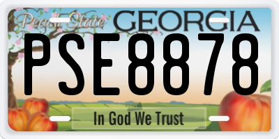 GA license plate PSE8878