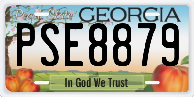GA license plate PSE8879