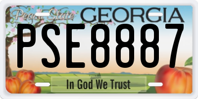 GA license plate PSE8887
