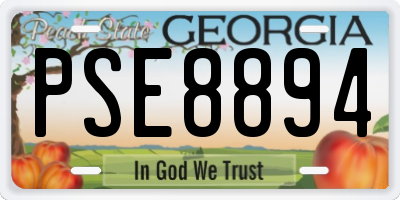 GA license plate PSE8894