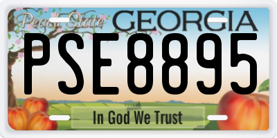 GA license plate PSE8895