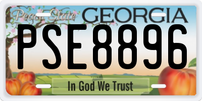 GA license plate PSE8896