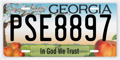 GA license plate PSE8897